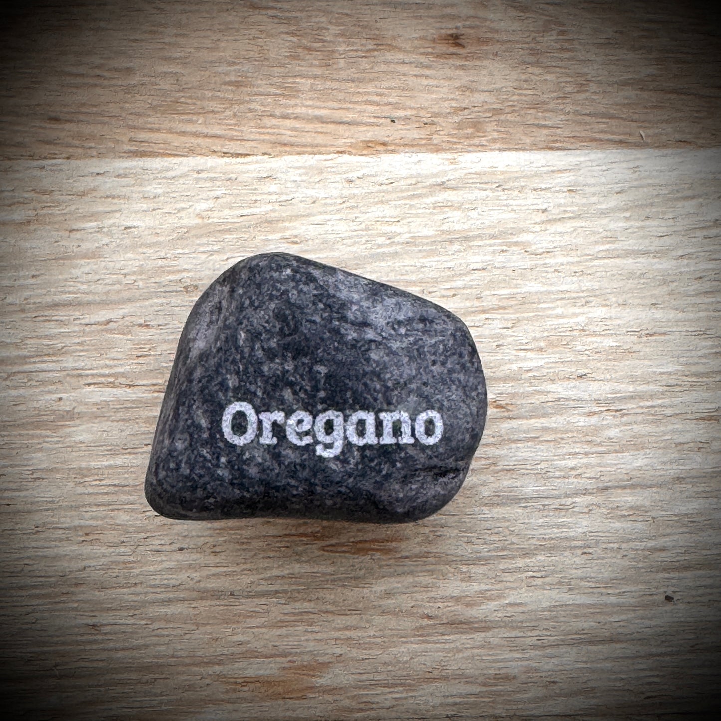 Mini Pebble – Oregano (Origanum vulgare)