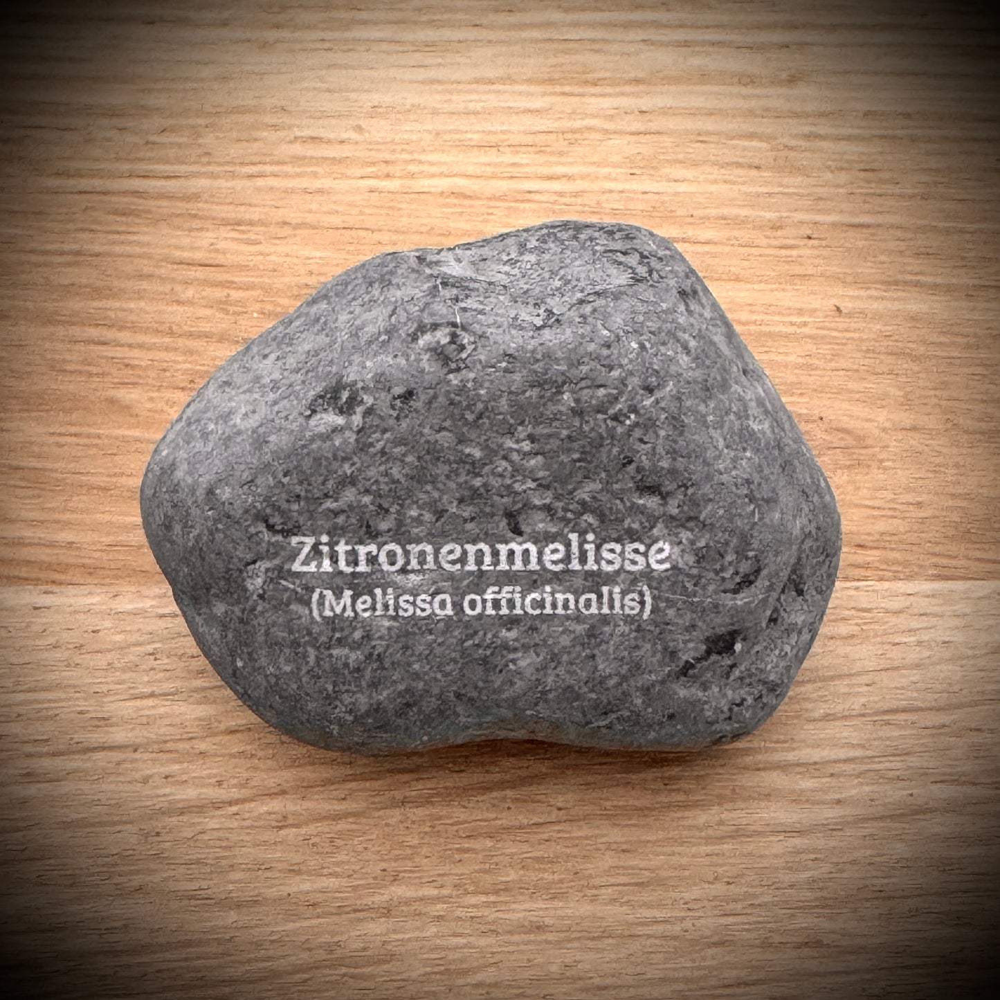 Plant Pebble Gravurstein - Zitronenmelisse (Melissa officinalis)