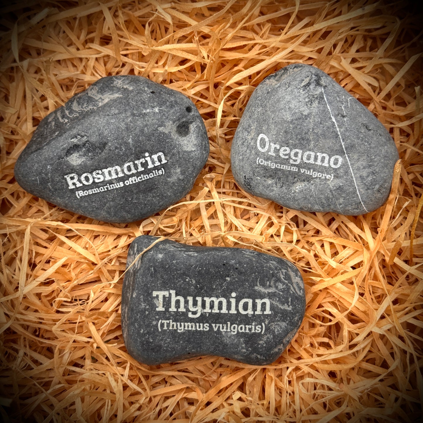 PlantPebbles Mediterran 3er-Set gravierte Kräutersteine: Rosmarin, Oregano und Thymian