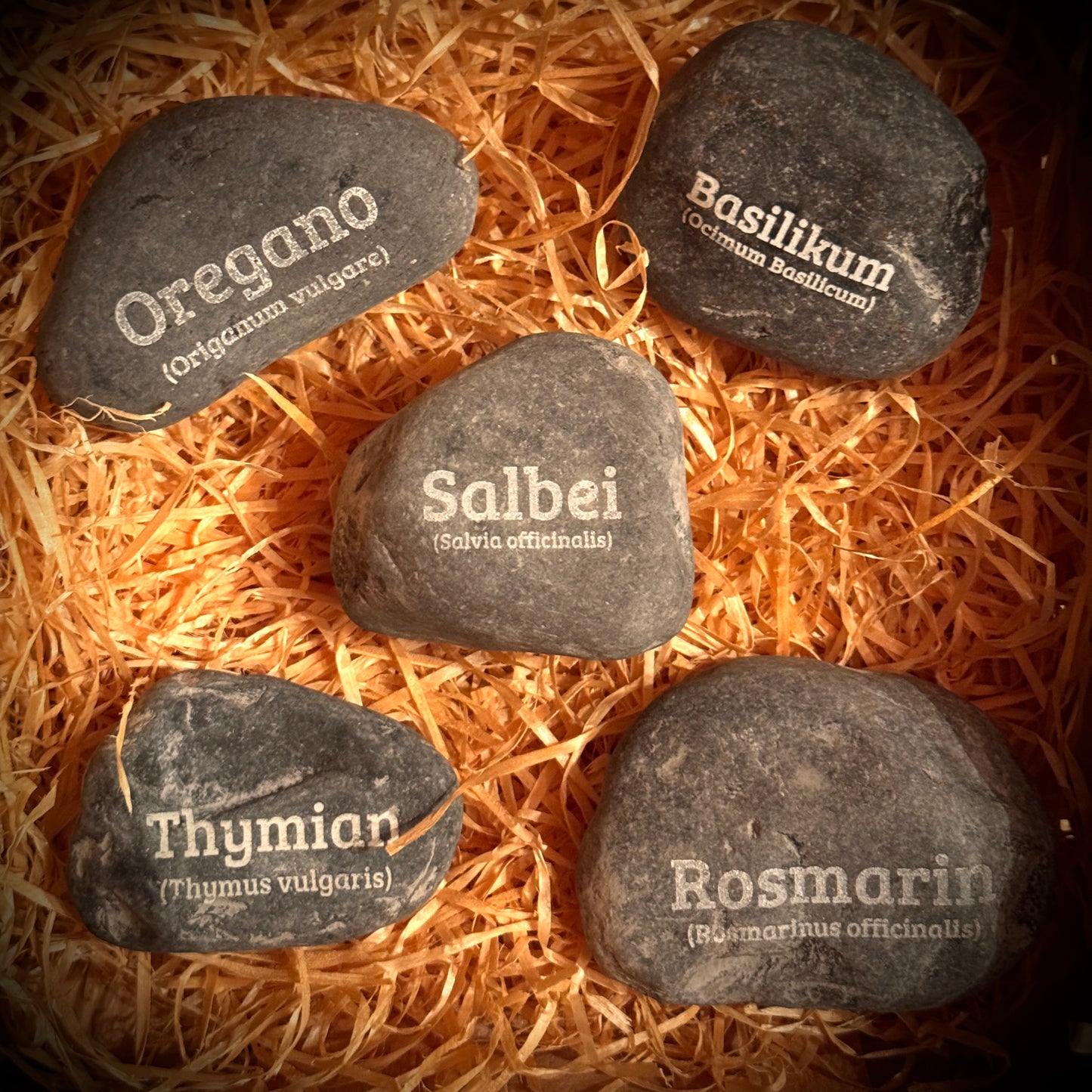 PlantPebbles Kräuterschatz 5er-Set gravierte Kräutersteine: Basilikum, Oregano, Salbei, Thymian und Rosmarin