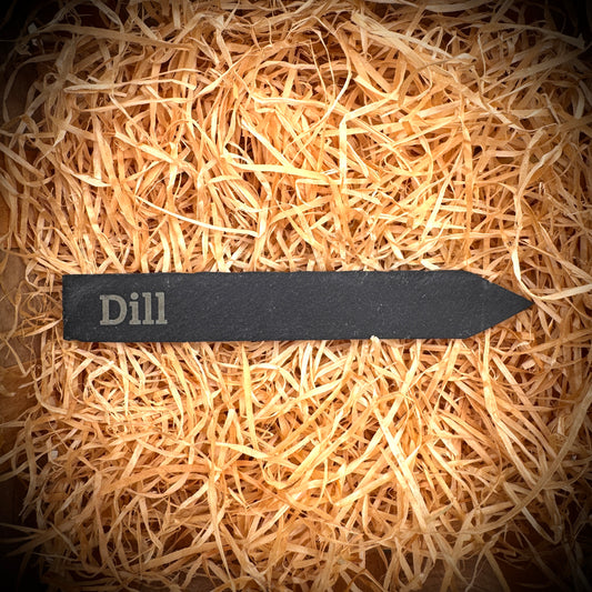Dill – Gravur-Pflanzenstecker aus Schiefer (15 × 2 cm)