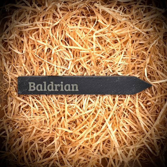Baldrian – Gravur-Pflanzenstecker aus Schiefer (15 × 2 cm)