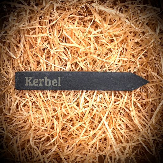 Kerbel – Gravur-Pflanzenstecker aus Schiefer (15 × 2 cm)