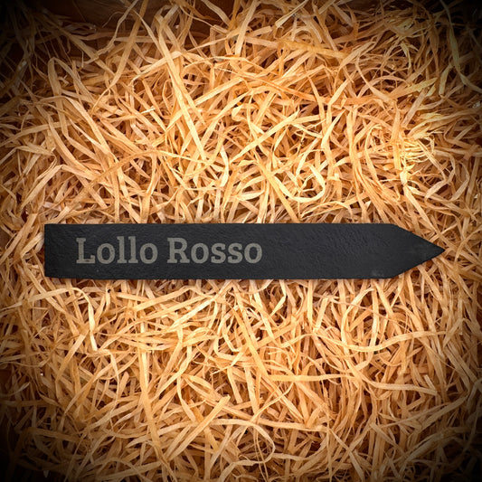 Lollo Rosso – Gravur-Pflanzenstecker aus Schiefer (15 × 2 cm)