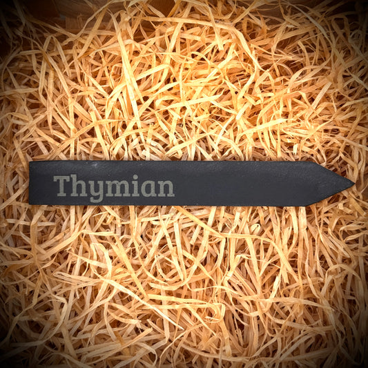 Thymian – Gravur-Pflanzenstecker aus Schiefer (15 × 2 cm)