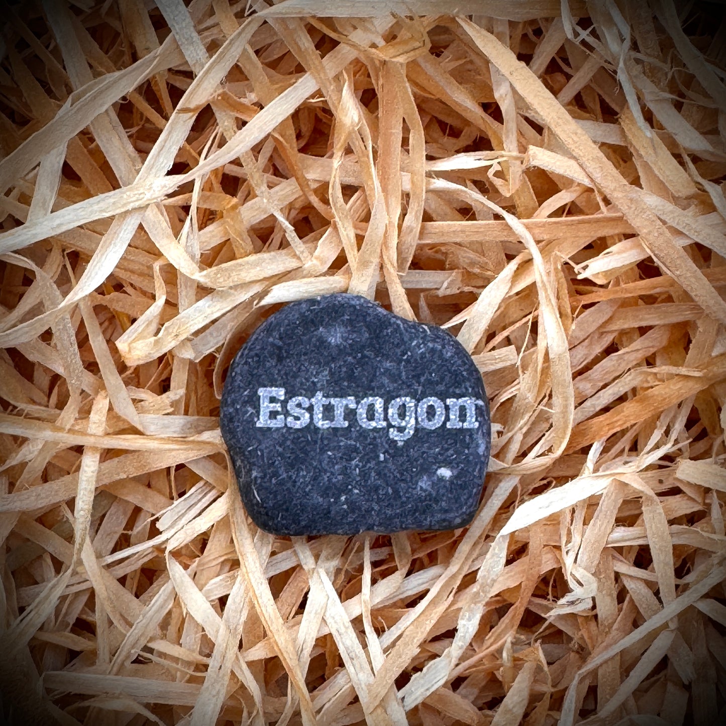 Mini Pebble – Estragon (Artemisia dracunculus)
