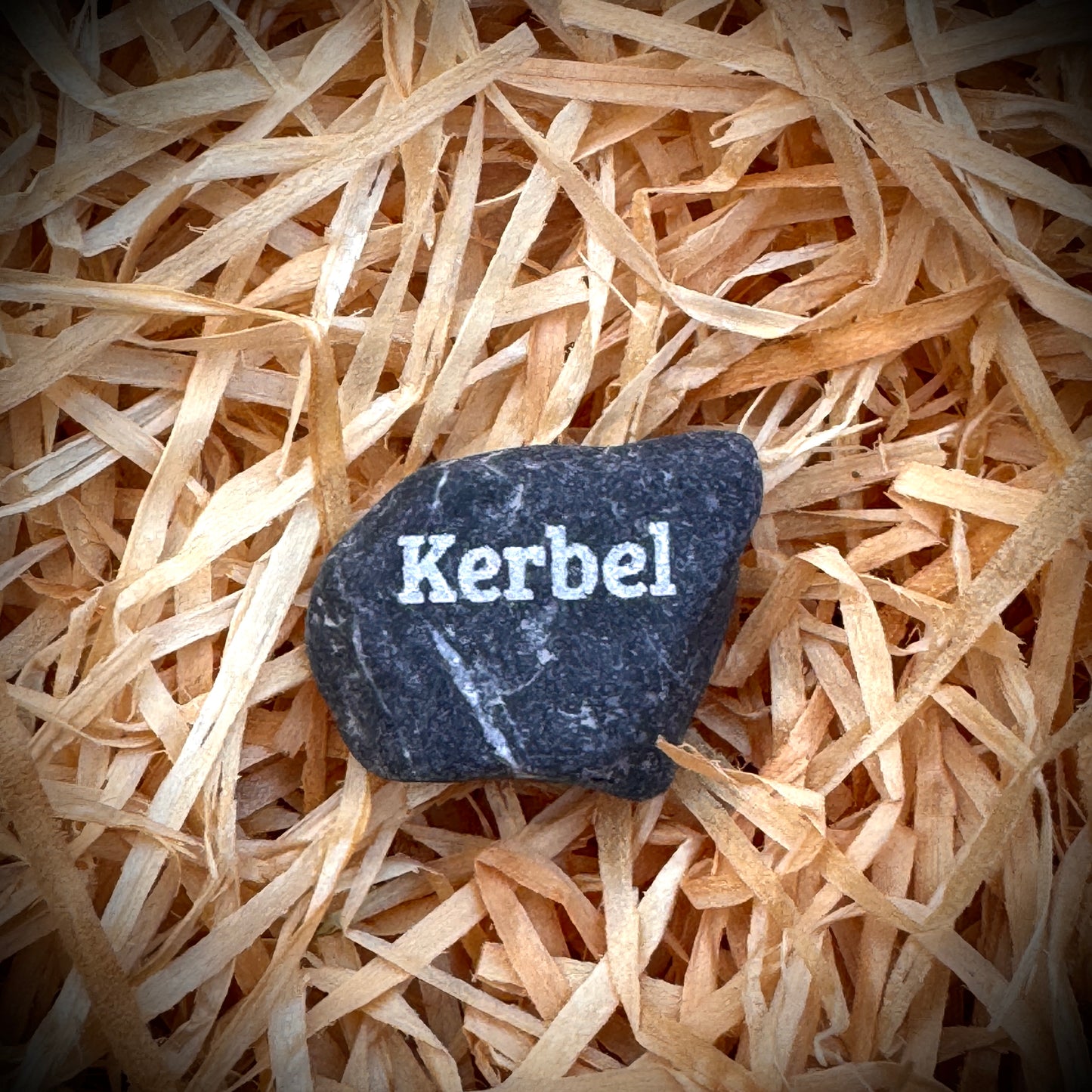Mini Pebble – Kerbel (Anthriscus cerefolium)
