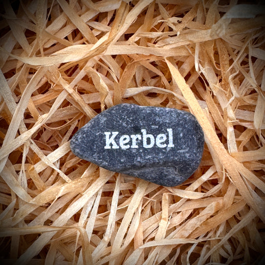 Mini Pebble – Kerbel (Anthriscus cerefolium)