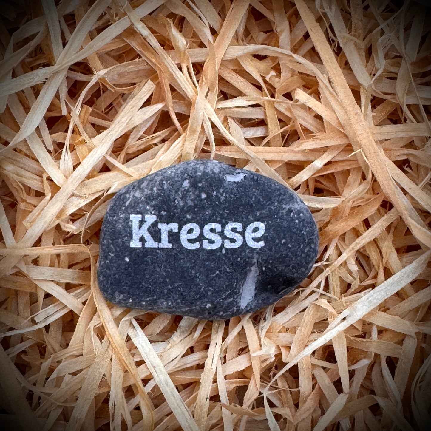 Mini Pebble – Kresse (Lepidium sativum)