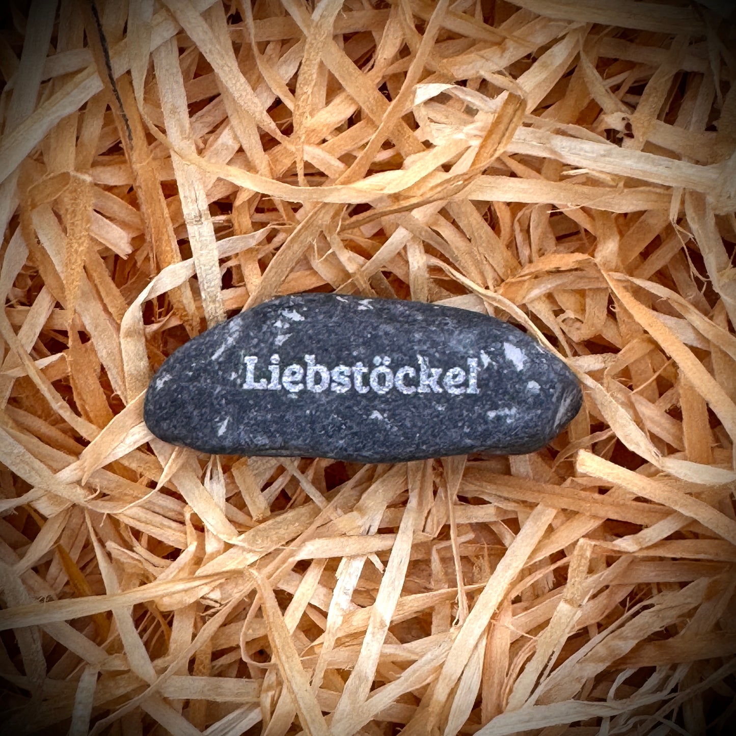 Mini Pebble – Liebstöckel (Levisticum officinale)
