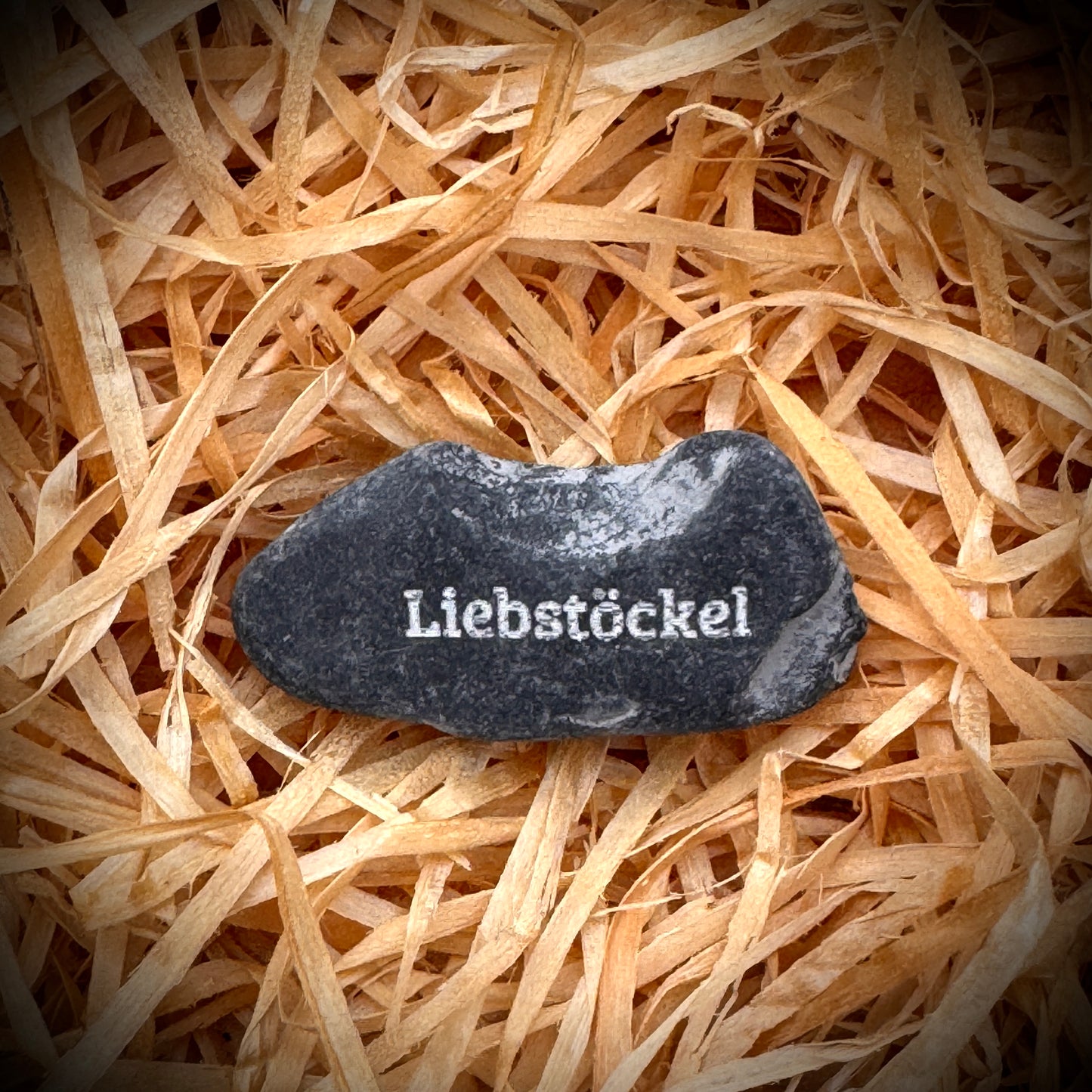 Mini Pebble – Liebstöckel (Levisticum officinale)