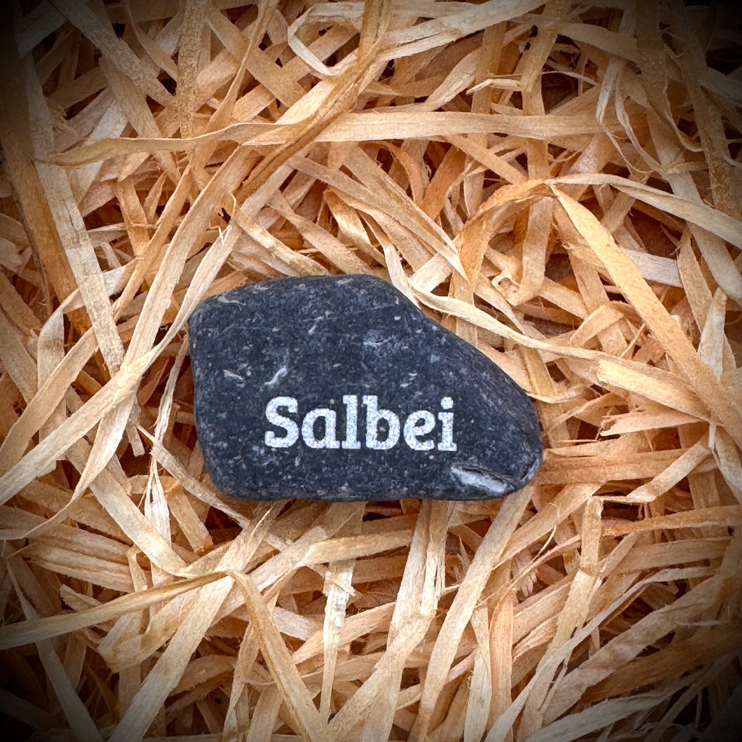 Mini Pebble – Salbei (Salvia officinalis)