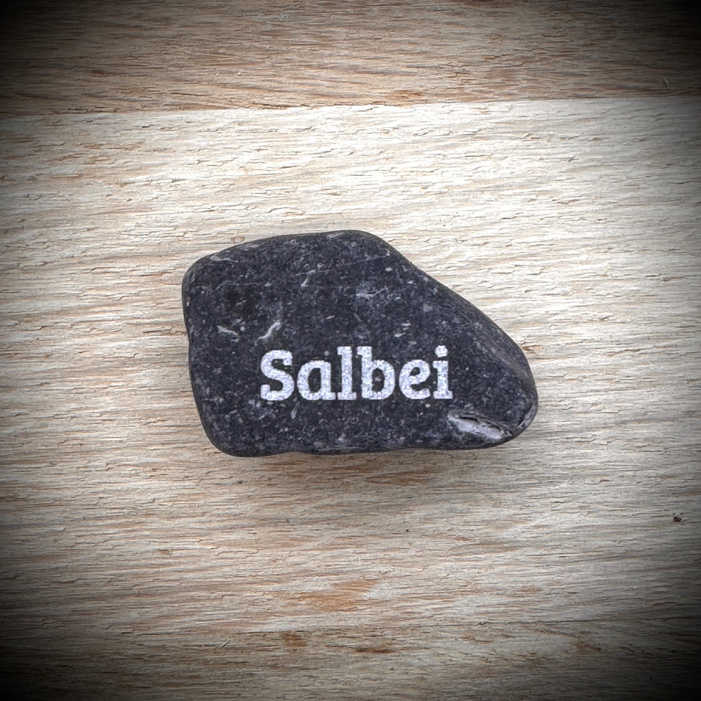 Mini Pebble – Salbei (Salvia officinalis)