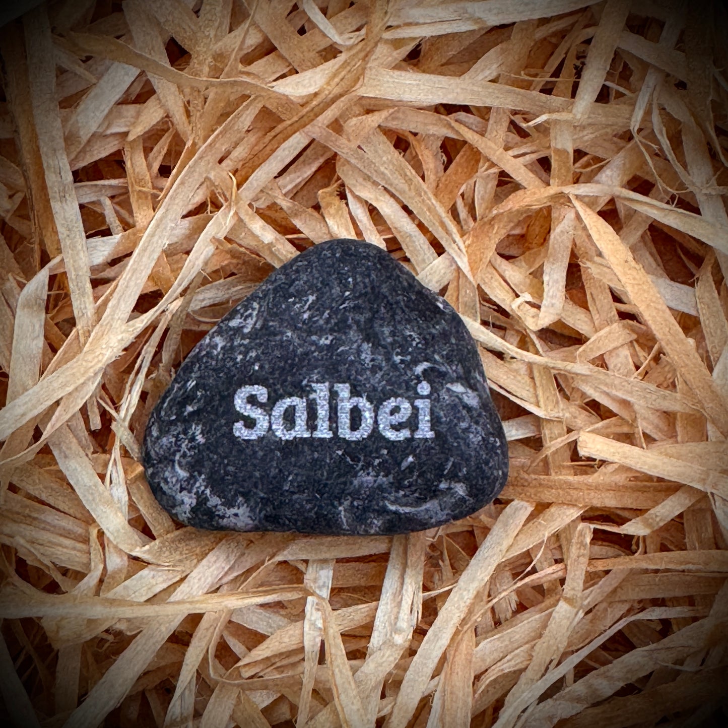 Mini Pebble – Salbei (Salvia officinalis)