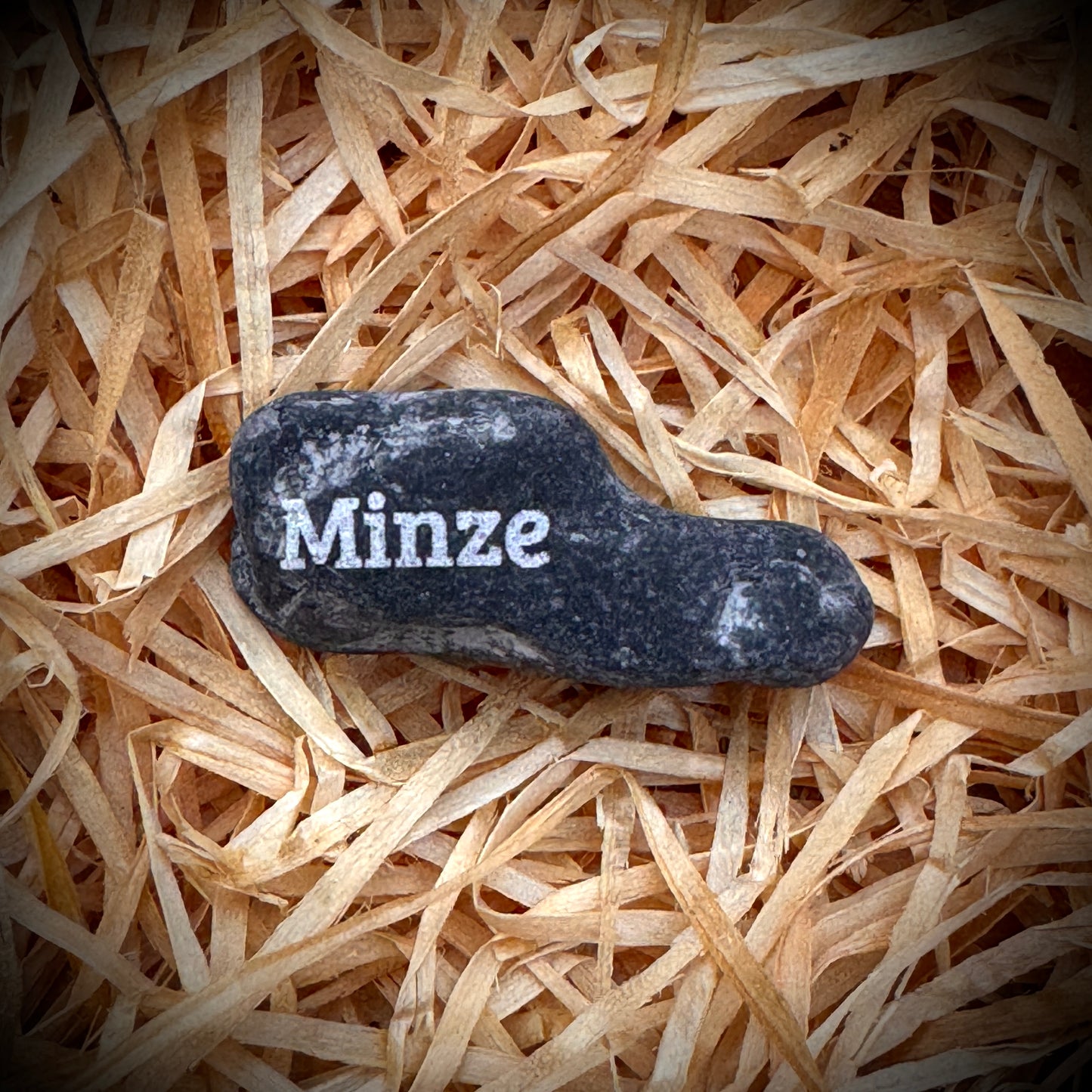 Mini Pebble – Minze (Mentha)