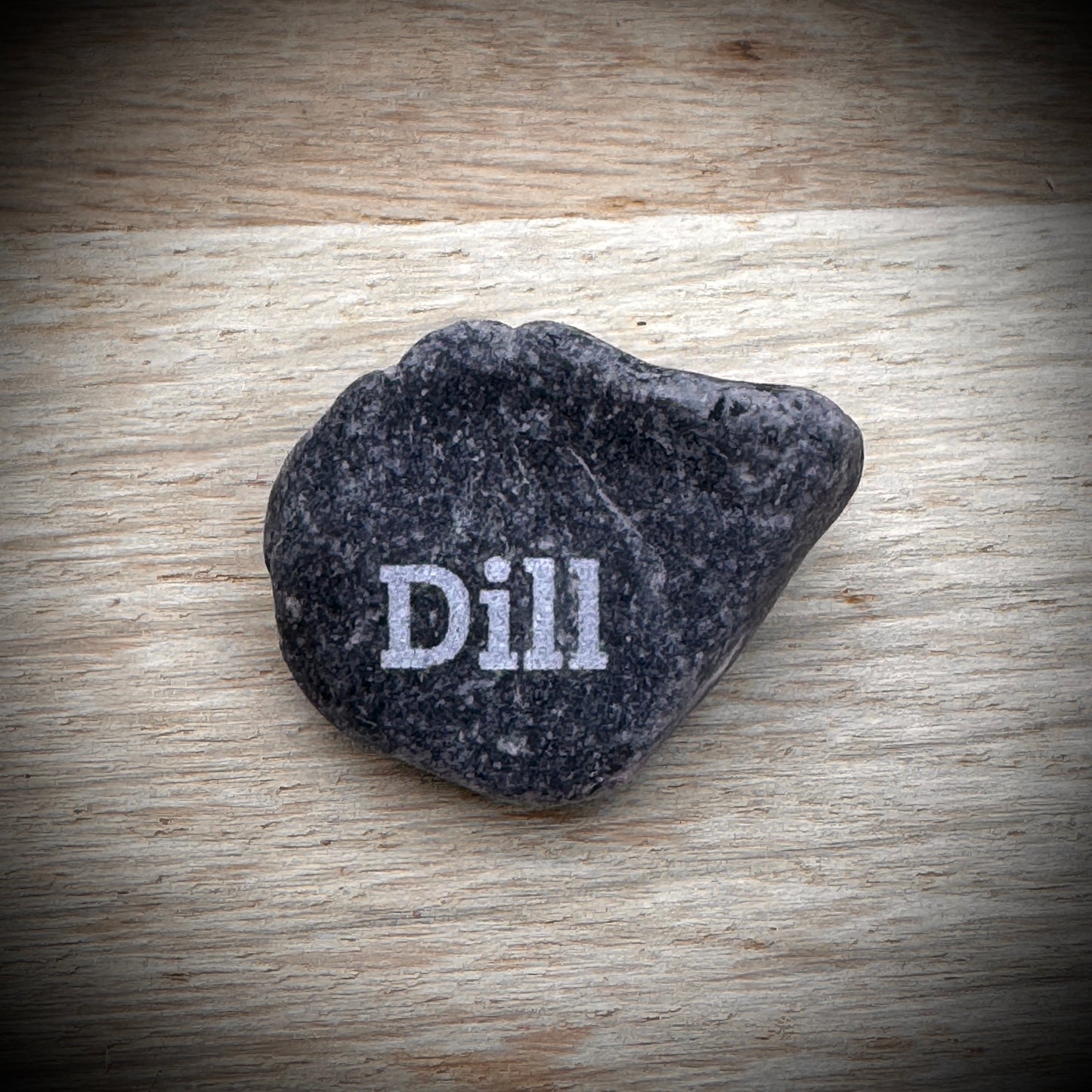 Mini Pebble – Dill (Anethum graveolens)