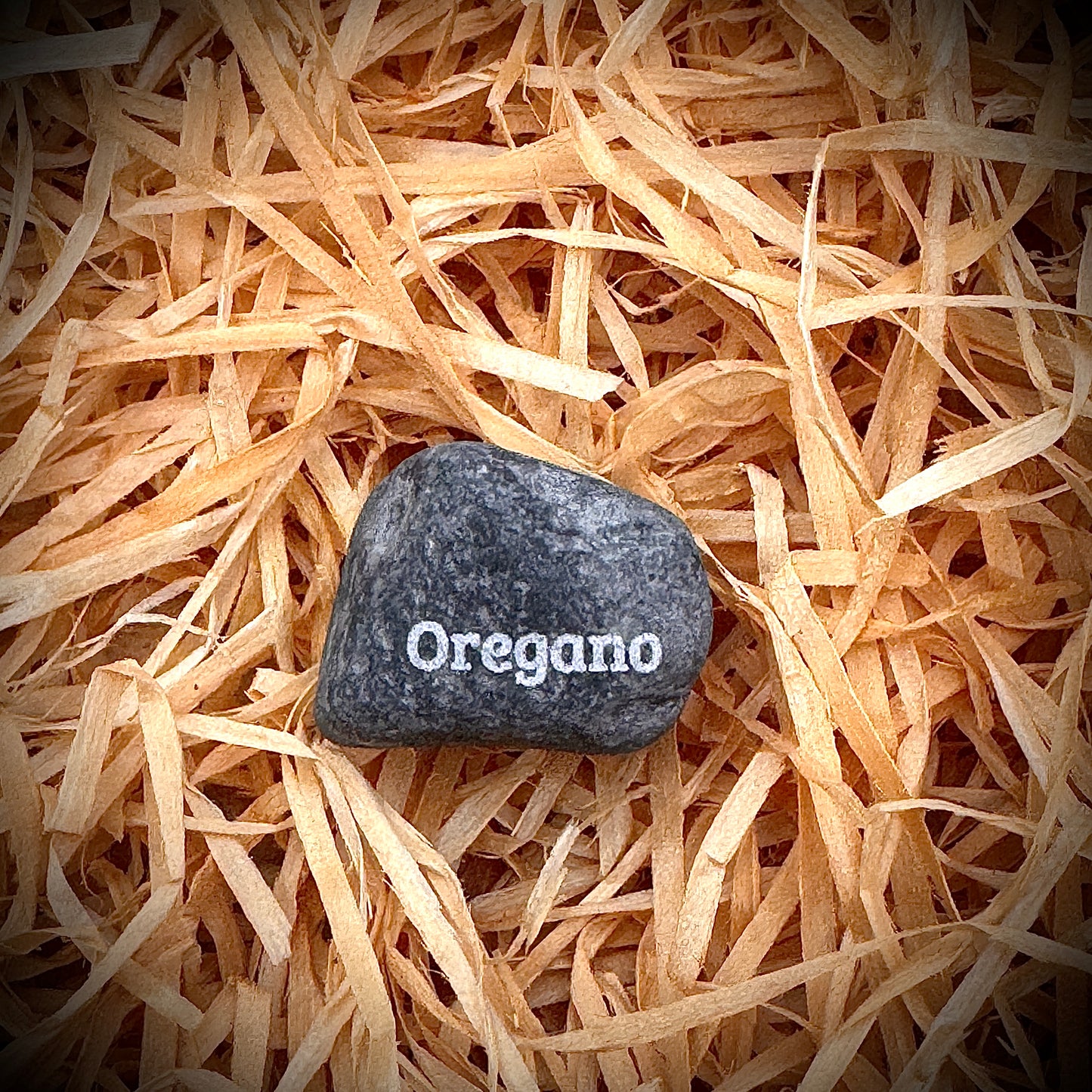 Mini Pebble – Oregano (Origanum vulgare)