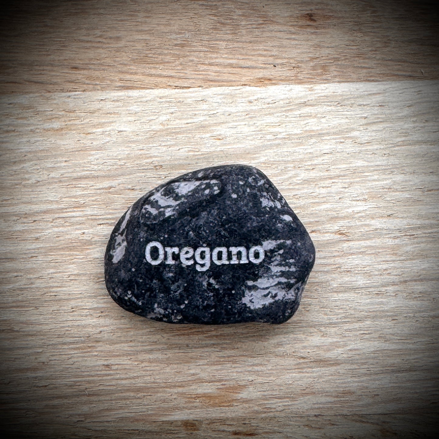Mini Pebble – Oregano (Origanum vulgare)