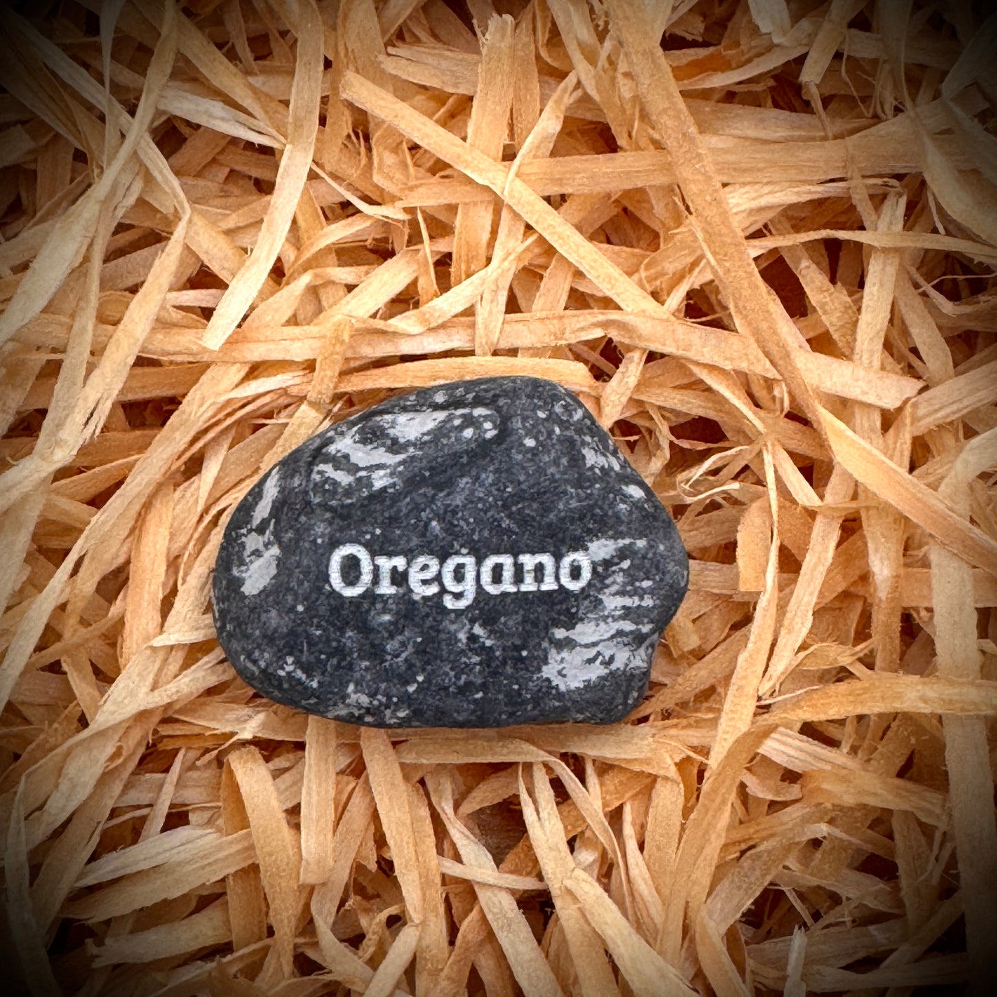 Mini Pebble – Oregano (Origanum vulgare)