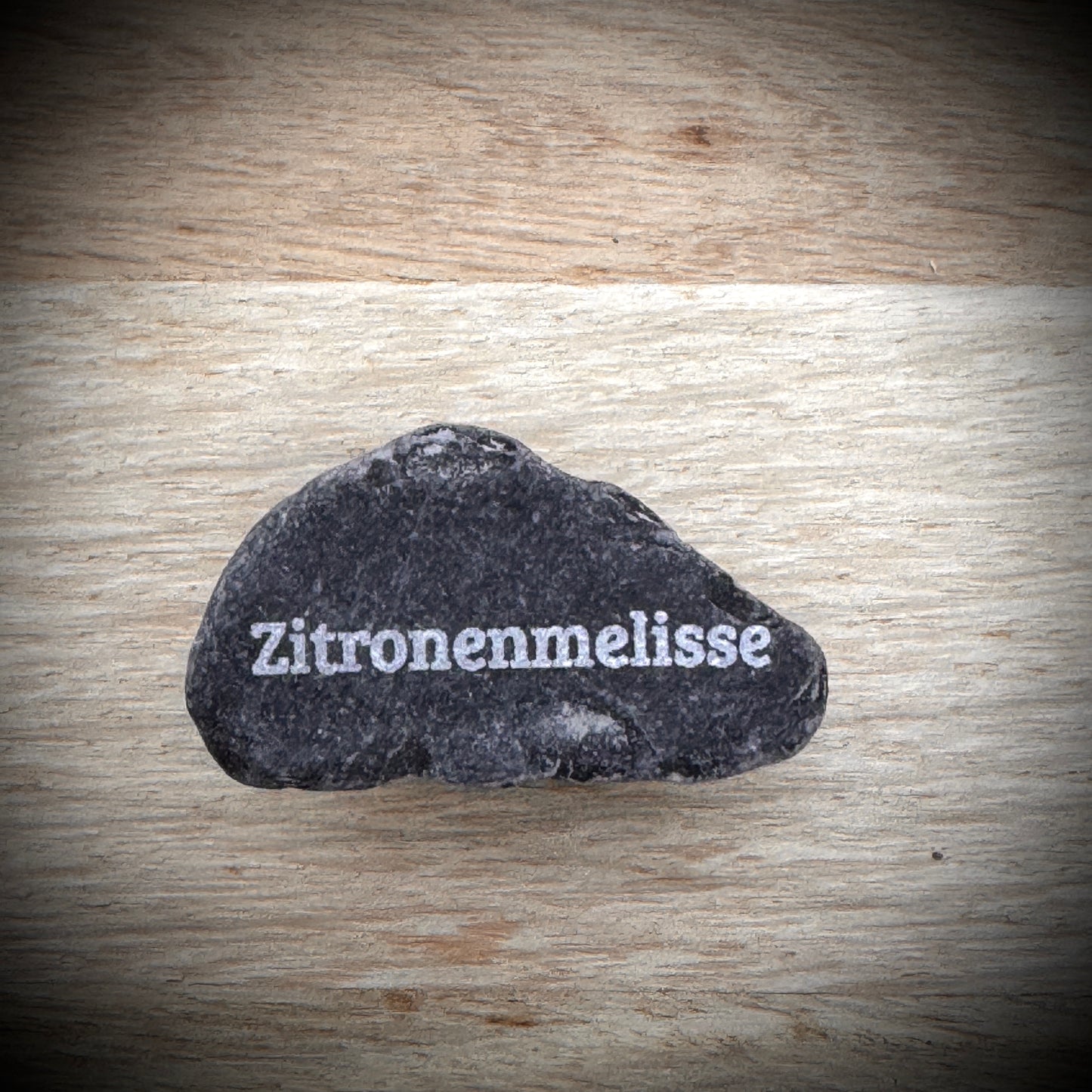 Mini Pebble – Zitronenmelisse (Melissa officinalis)