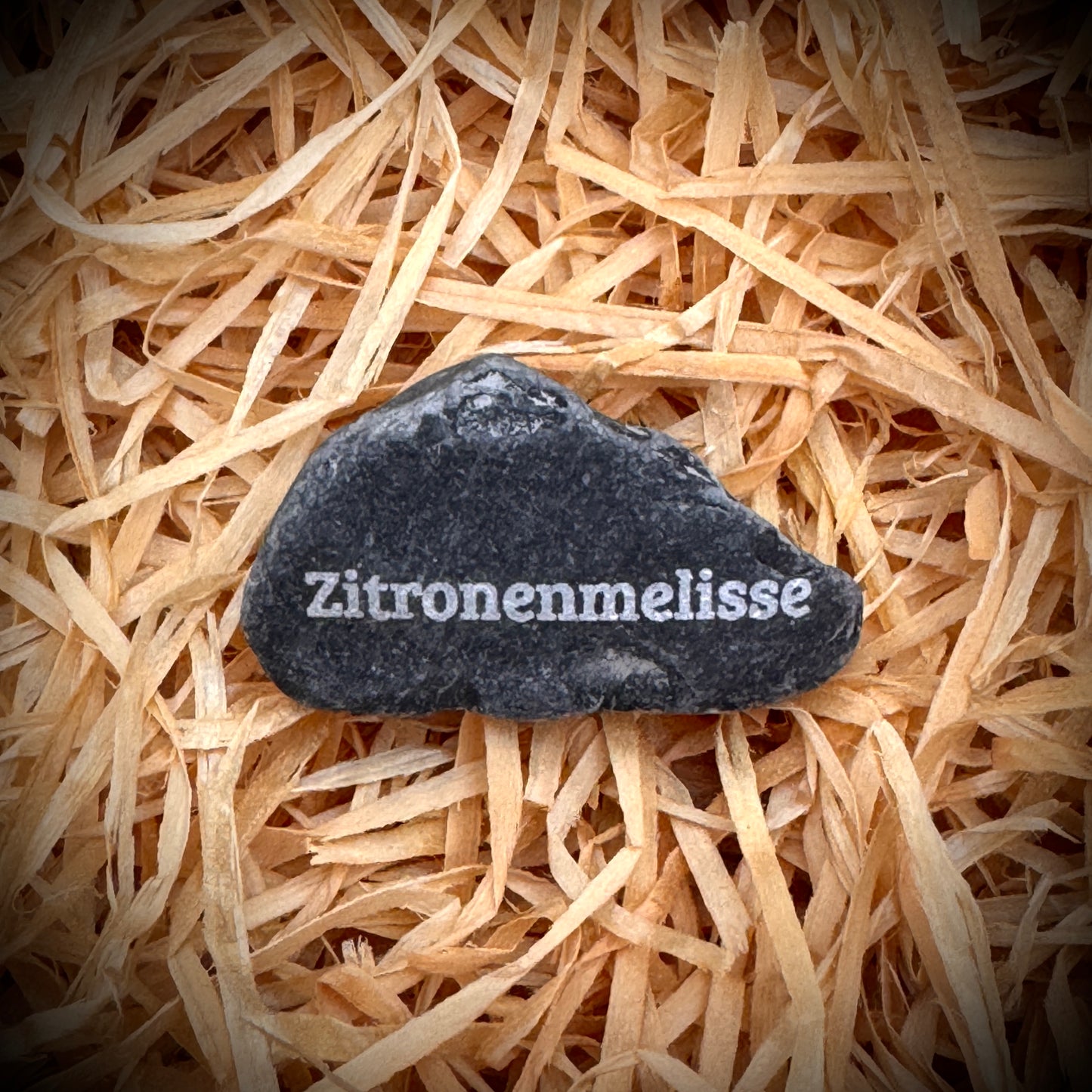 Mini Pebble – Zitronenmelisse (Melissa officinalis)