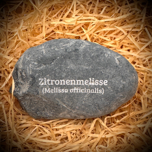 Plant Pebble Gravurstein - Zitronenmelisse