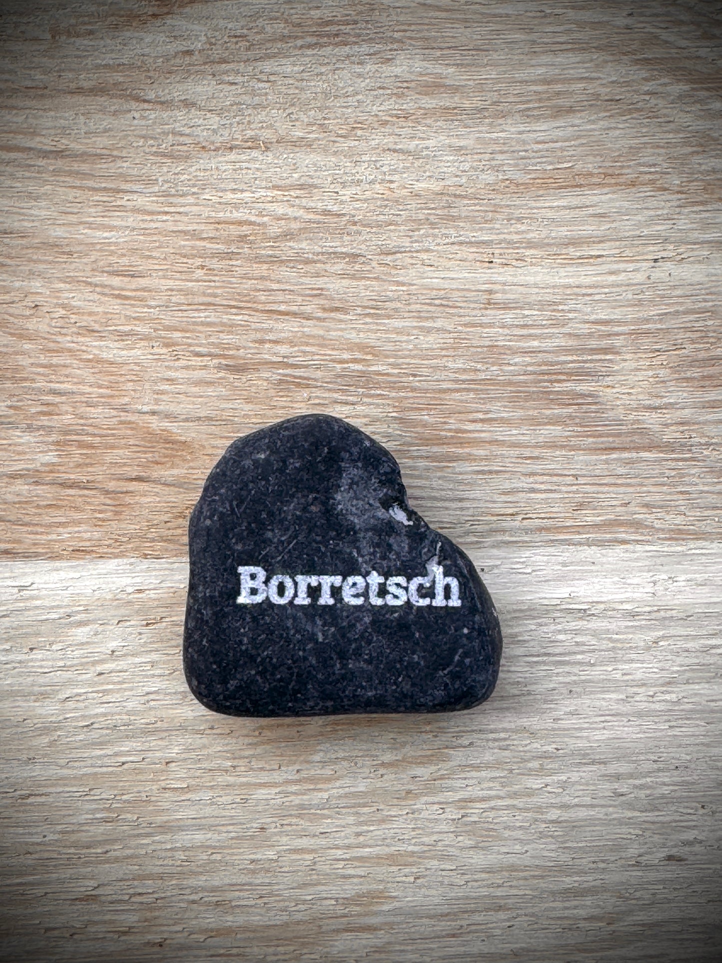 Mini Pebble – Borretsch (Borago officinalis)