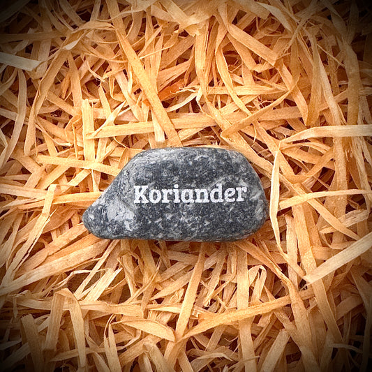 PlantPebbles Mini Pebble – kleiner Gravurstein aus Naturkiesel mit Kräutergravur „Koriander“
