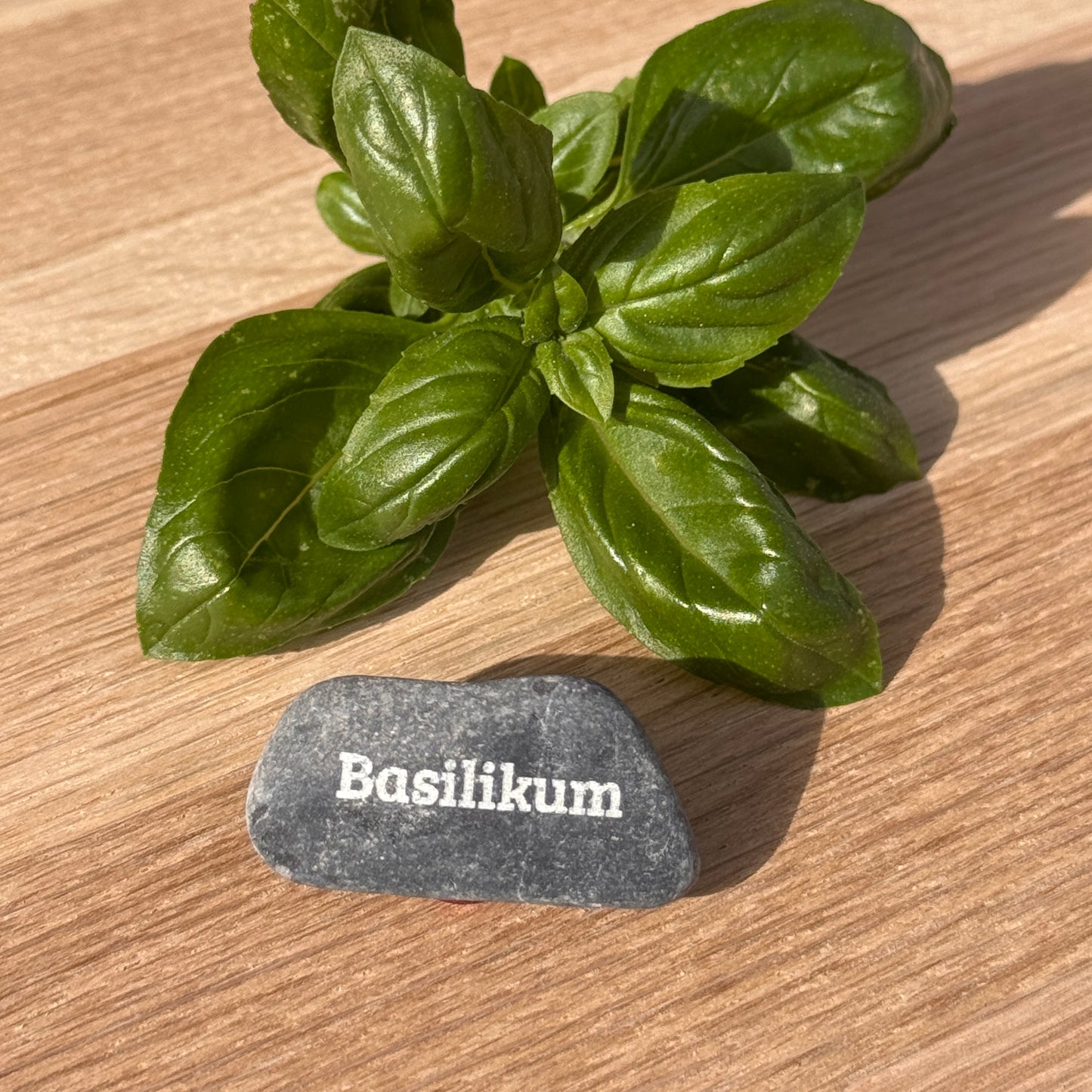 Mini Pebbles - Küchenfreunde 5er-Set