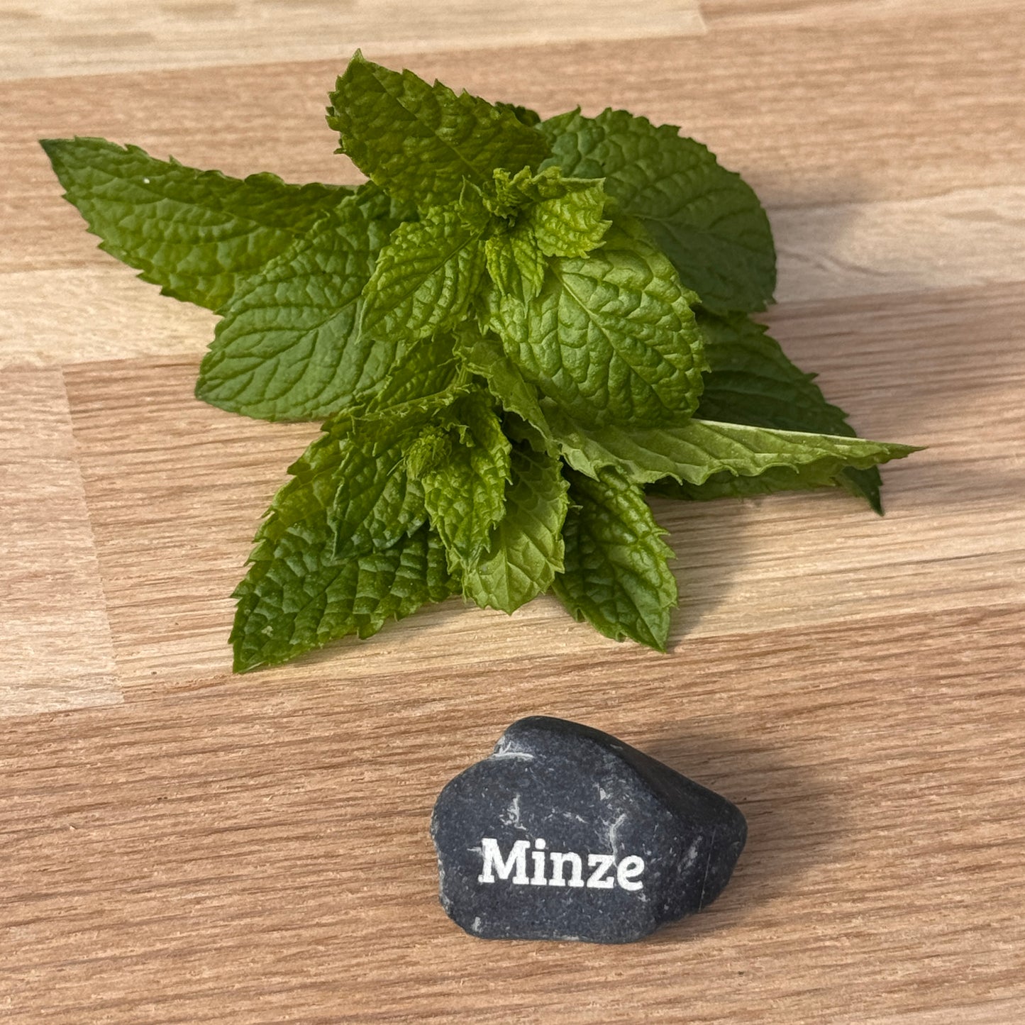 Mini Pebbles – Küchenhelden 10er-Set