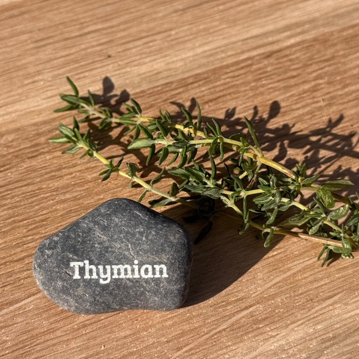 Mini Pebbles - Küchenfreunde 5er-Set