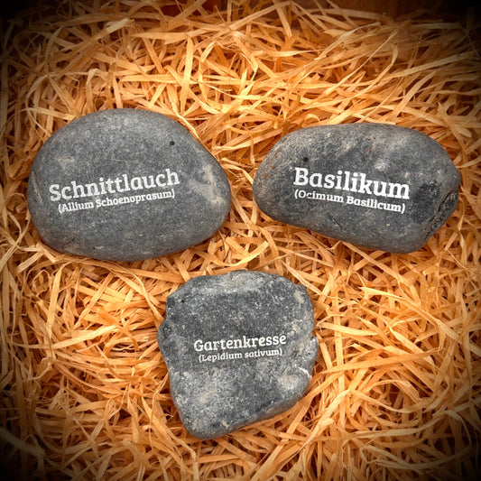 PlantPebbles Kinderleicht 3er-Set gravierte Kräutersteine: Schnittlauch, Basilikum und Gartenkresse