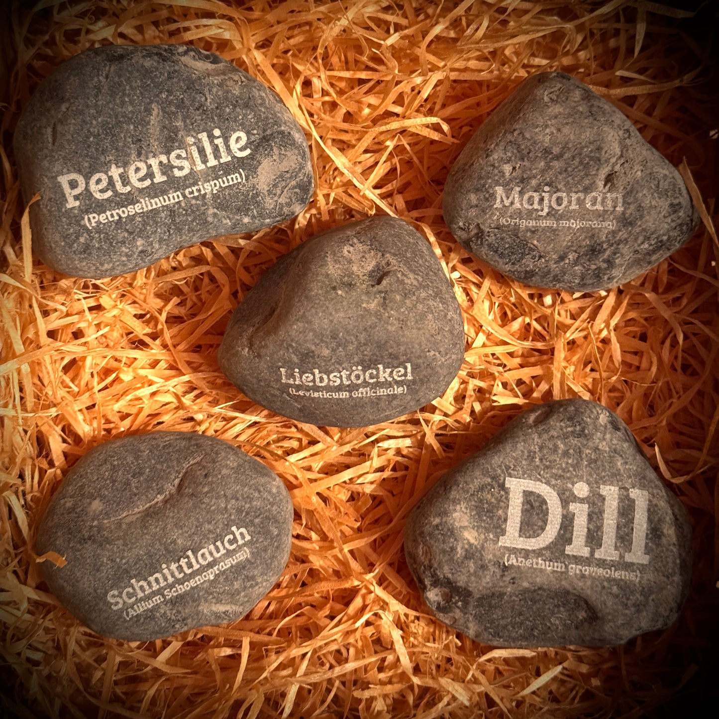 PlantPebbles Heimische Kräuter 5er-Set gravierte Kräutersteine: Petersilie, Majoran, Liebstöckel, Schnittlauch und Dill