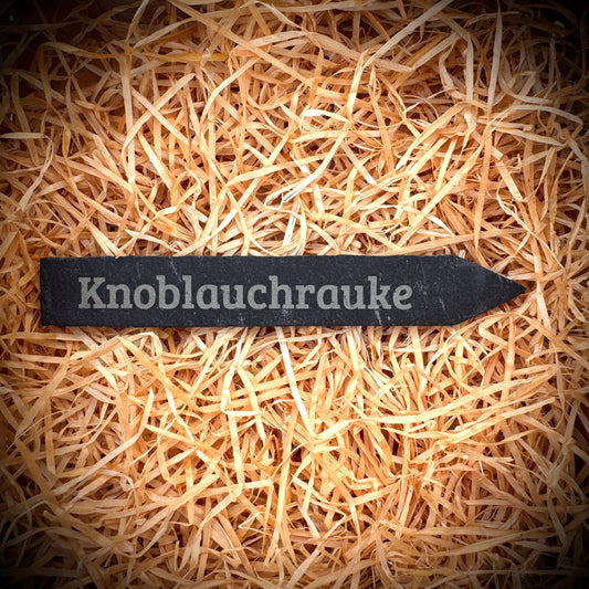 PlantPebbles Einzelstück Schieferstecker mit Lasergravur „Knoblauchrauke“